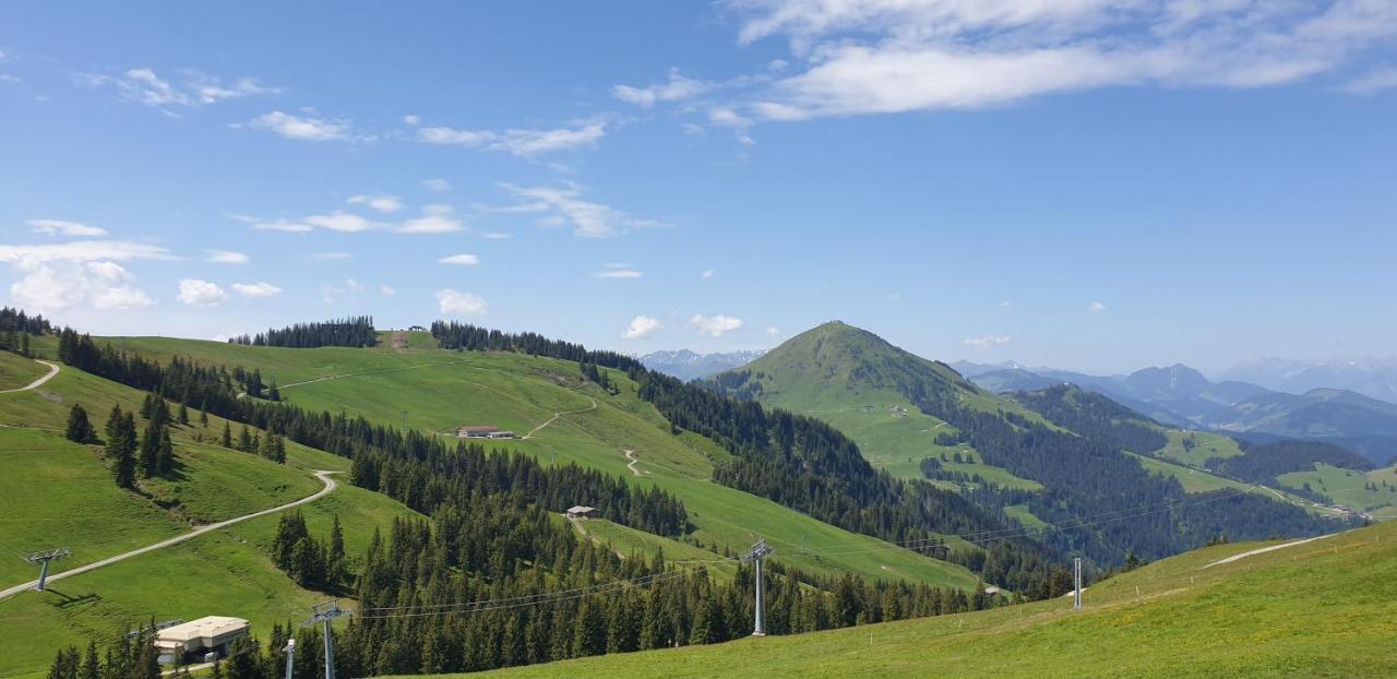 Ferienwohnung Sappl Scheffau am Wilden Kaiser Exterior foto