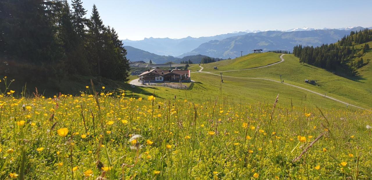Ferienwohnung Sappl Scheffau am Wilden Kaiser Exterior foto