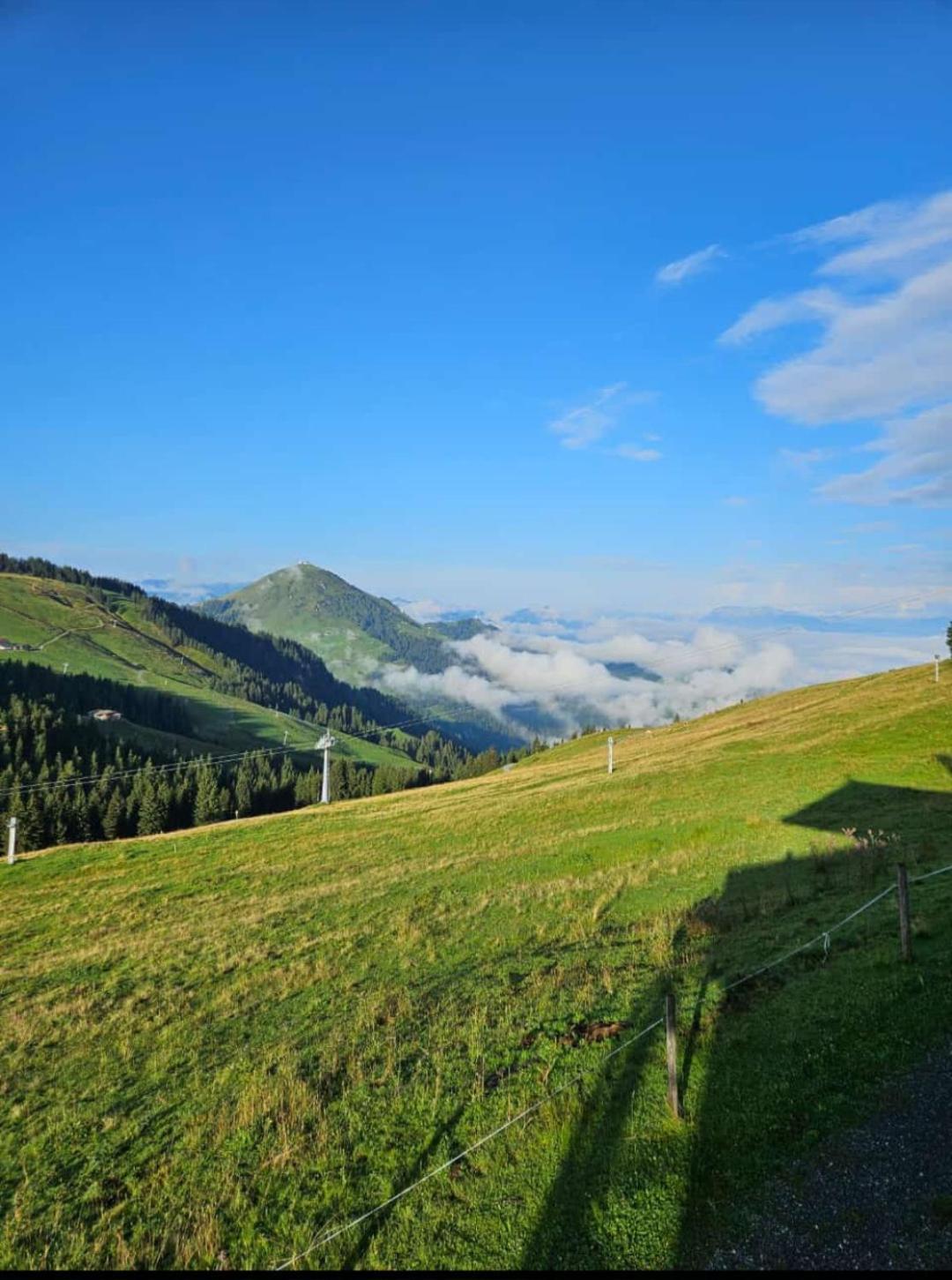 Ferienwohnung Sappl Scheffau am Wilden Kaiser Exterior foto