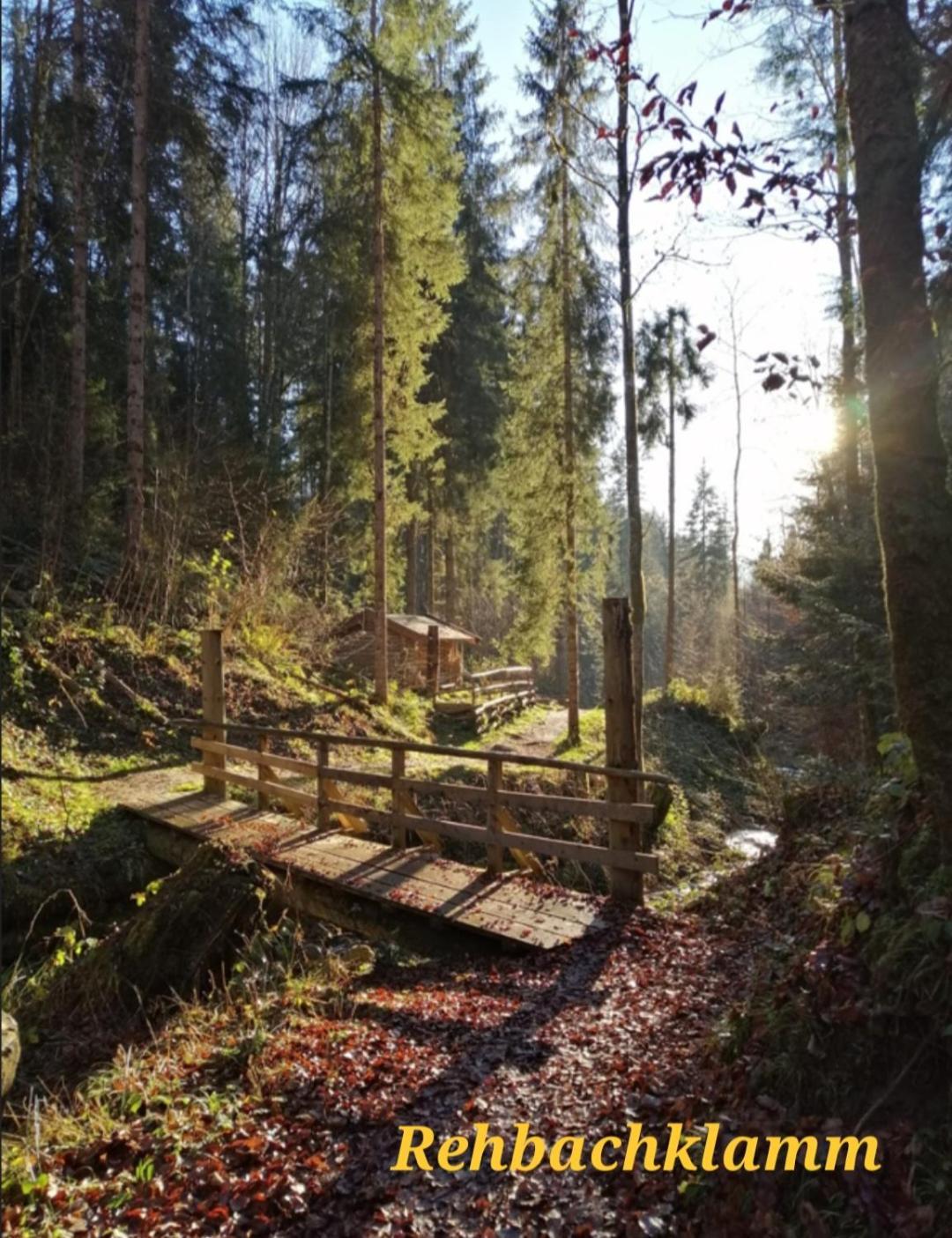 Ferienwohnung Sappl Scheffau am Wilden Kaiser Exterior foto