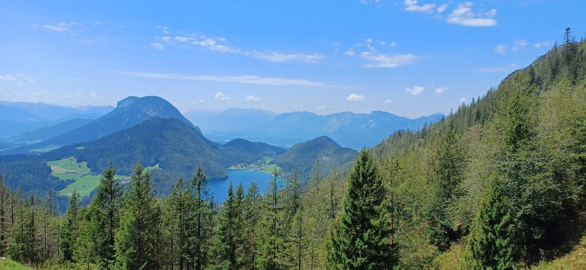 Ferienwohnung Sappl Scheffau am Wilden Kaiser Exterior foto